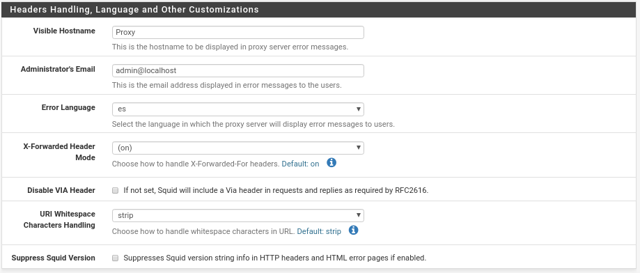 squid otras configuraciones