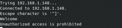 telnet puerto 4000